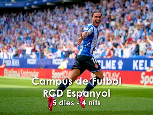 Campus de Futbol RCD Espanyol