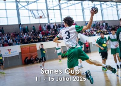 Sanes Cup