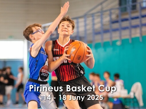 Copa dels Pirineus de bàsquet